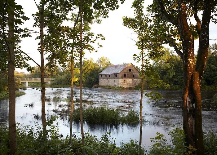 House Holiday park Suurejoe